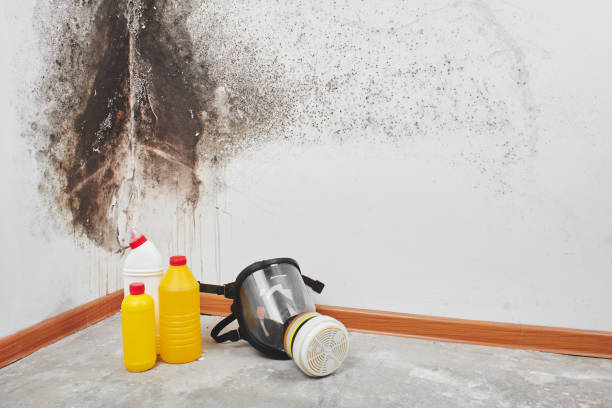 Best Crawl Space Mold Removal  in Dahlgren, VA