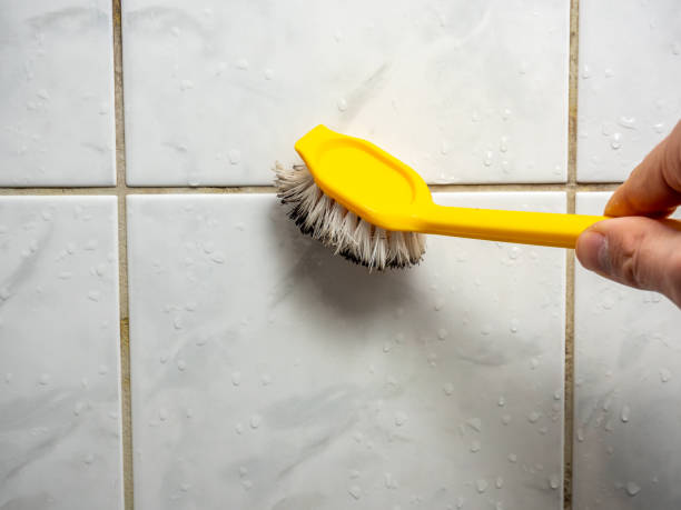 Best Commercial Mold Removal  in Dahlgren, VA