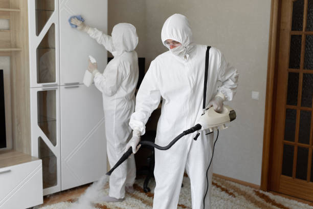 Best Mold Testing and Removal  in Dahlgren, VA