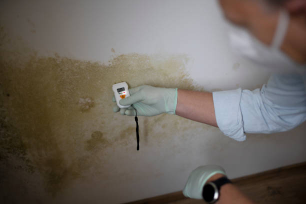 Best Mold Testing  in Dahlgren, VA