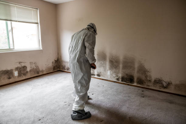 Best Mold Testing  in Dahlgren, VA