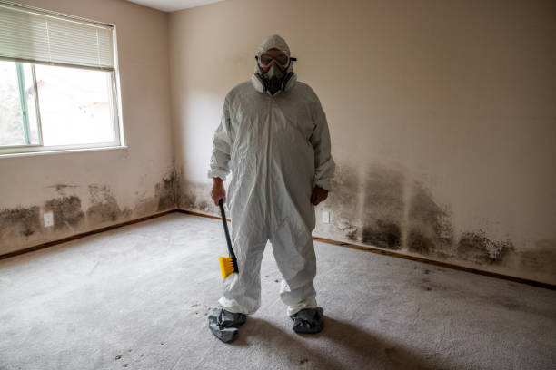 Best Attic Mold Removal  in Dahlgren, VA
